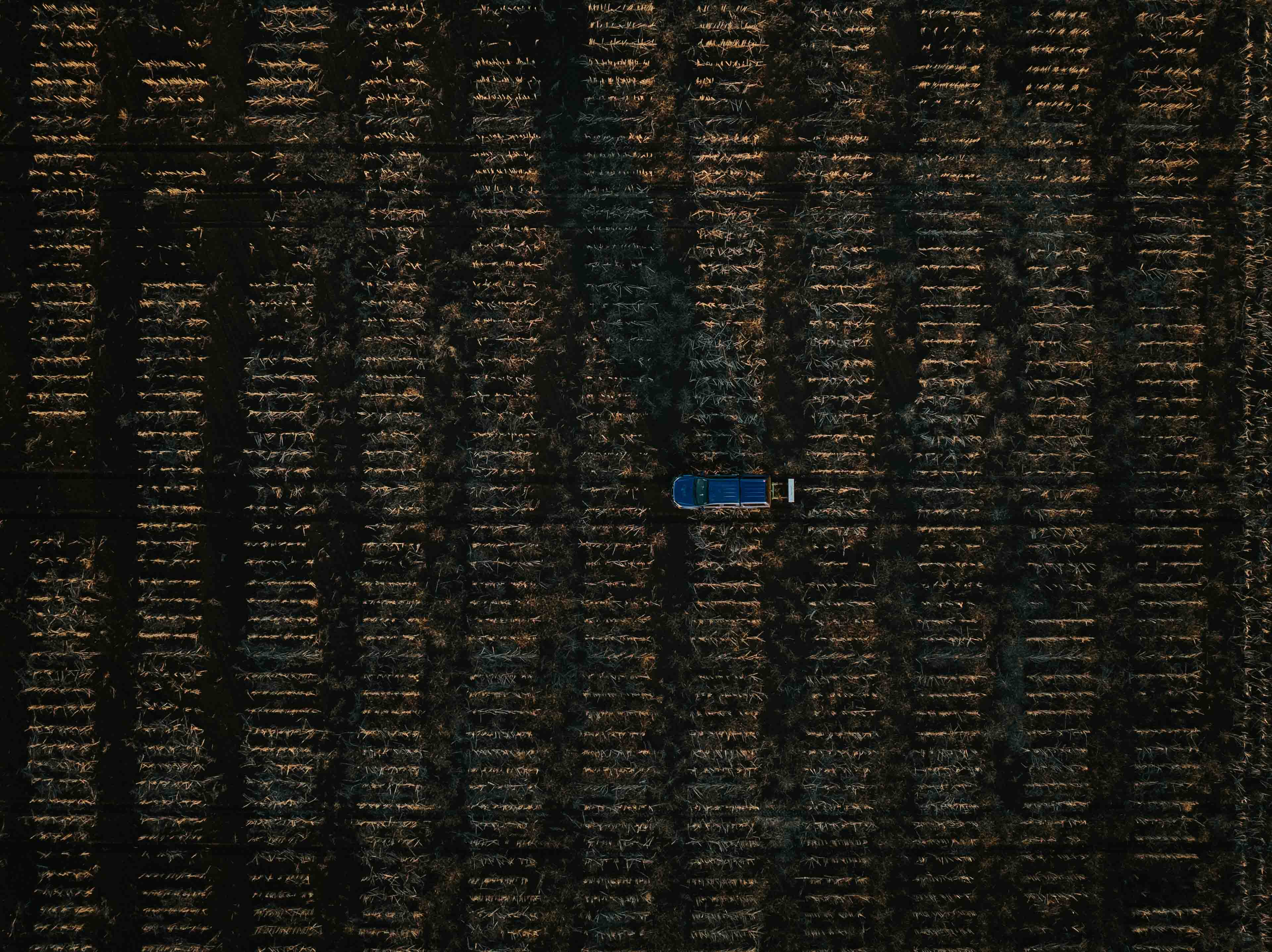 Data Farming asset 4