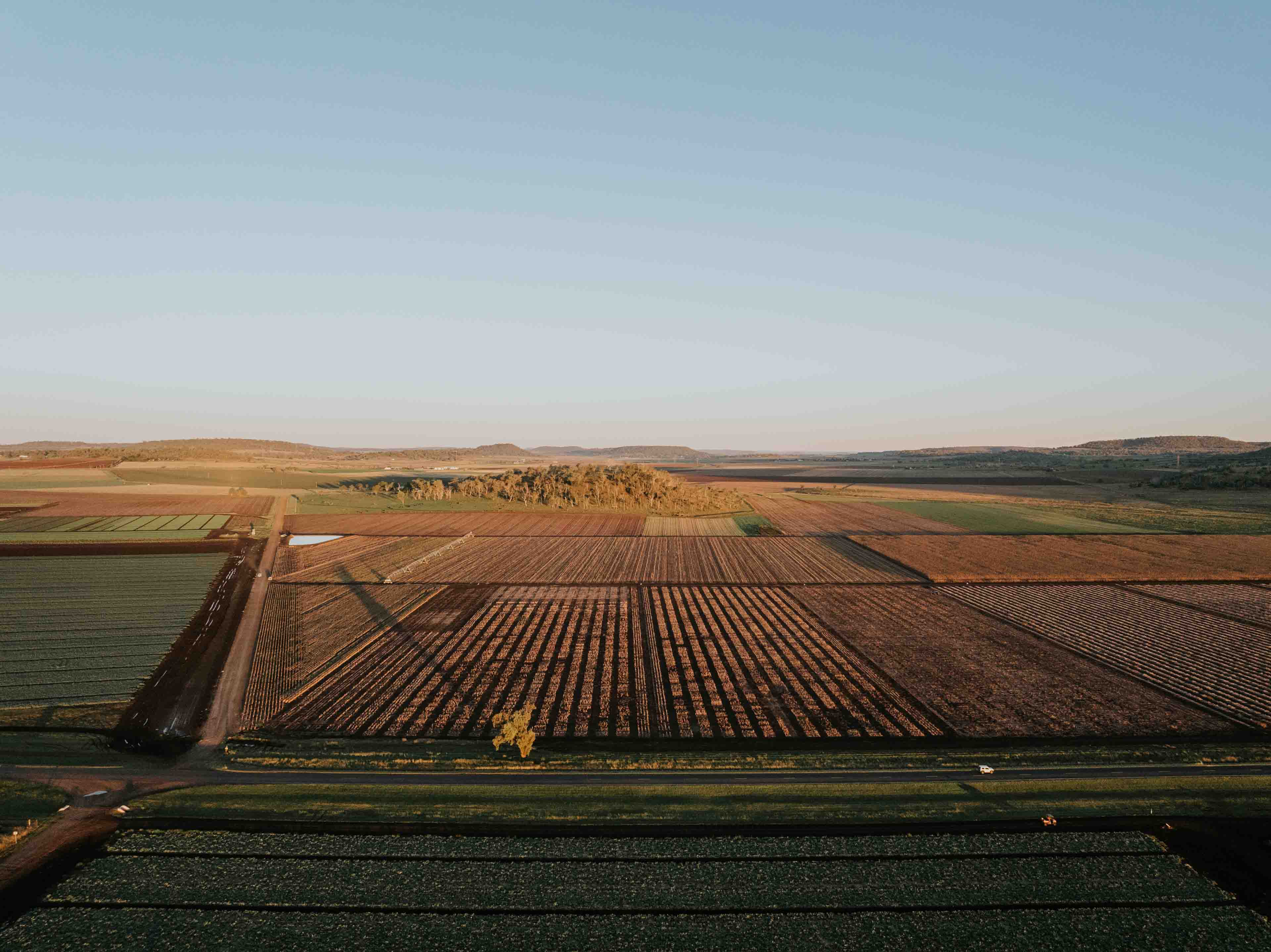 Data Farming asset 5