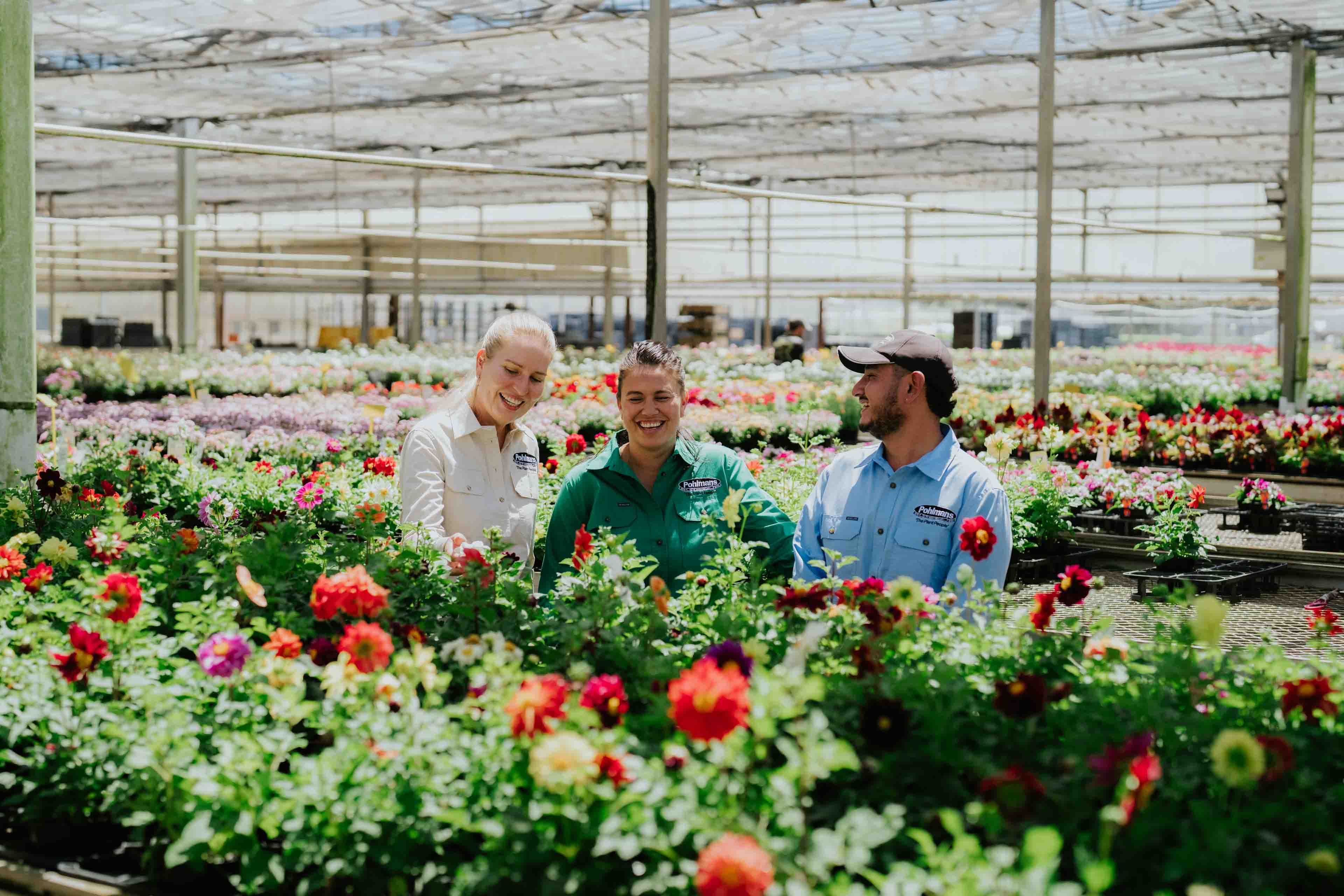 Pohlman's Nursery gallery item 2