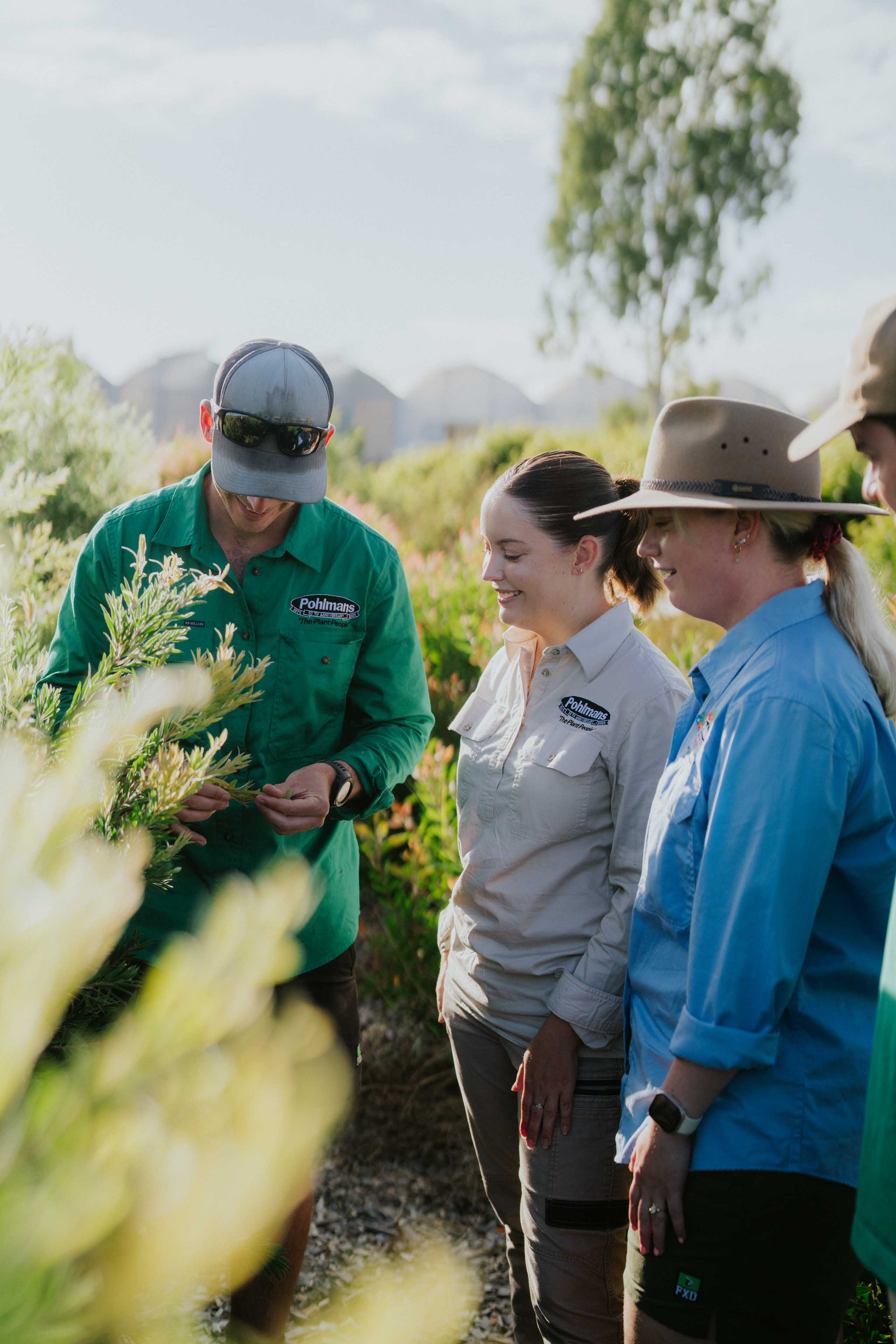 Pohlman's Nursery gallery item 3