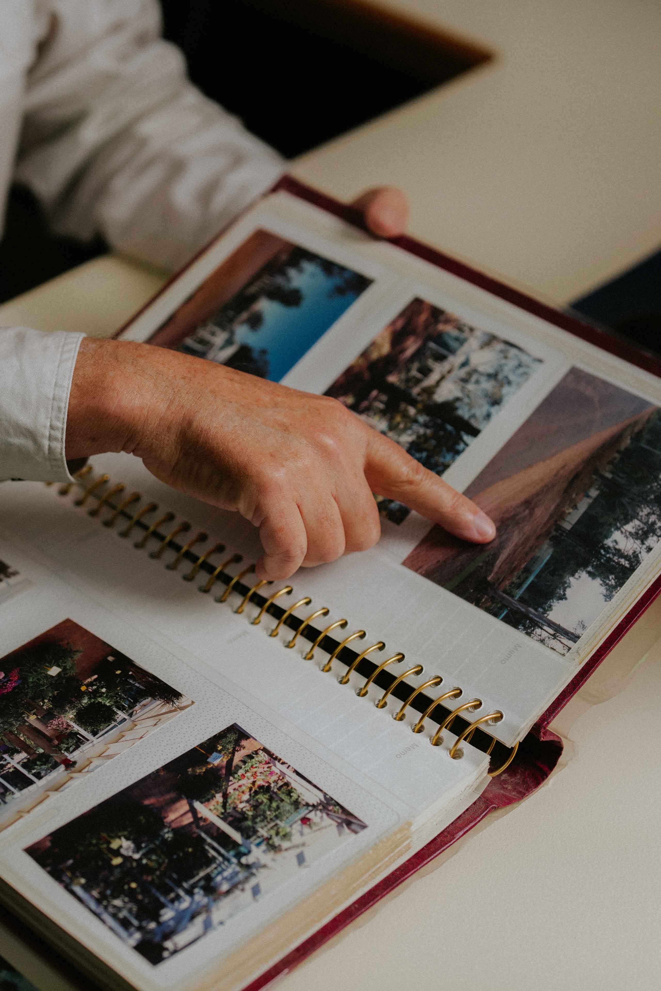 Pohlman's Nursery gallery item 6